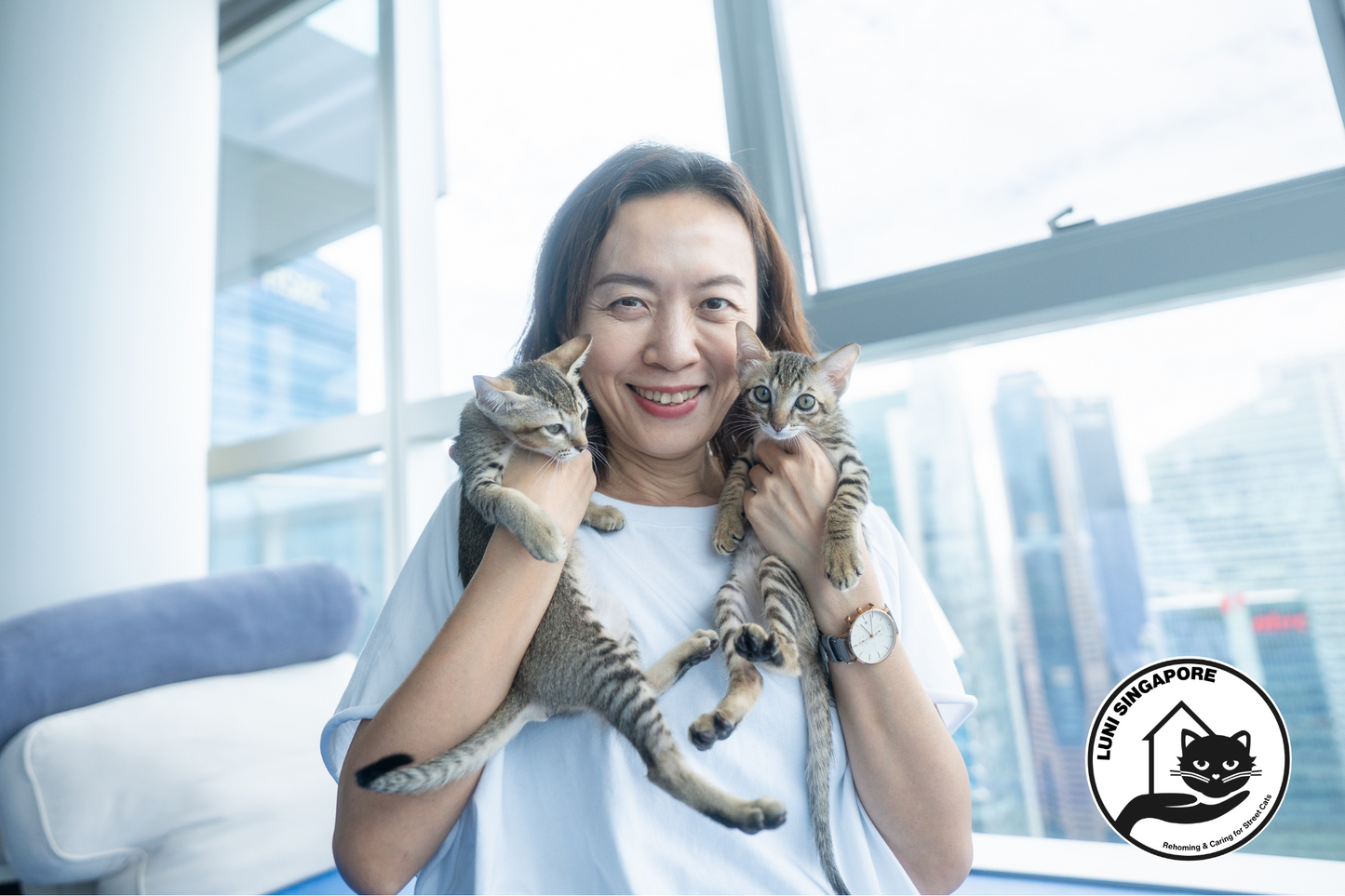 Gently Cooked Free Range Chicken for Cats - LUNI Singapore Donation