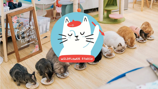 Support Wildflower Studio