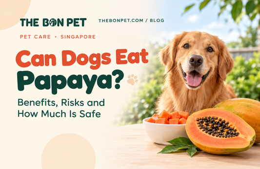 Can Dogs Eat Papaya? Benefits, Risks and How Much Is Safe