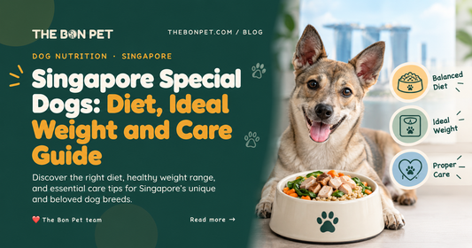 Singapore Special Dogs: Diet, Ideal Weight and Care Guide