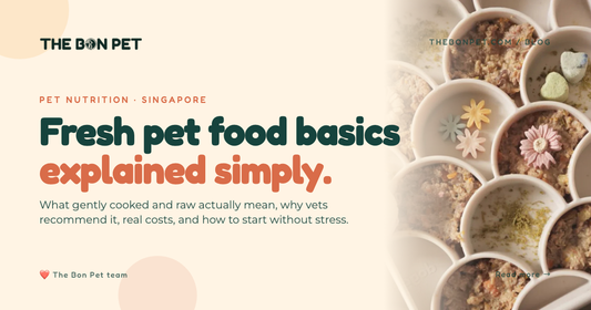 A Beginner S Guide To Feeding Fresh Raw Pet Food In Singapore What New Pet Owners Need To Know