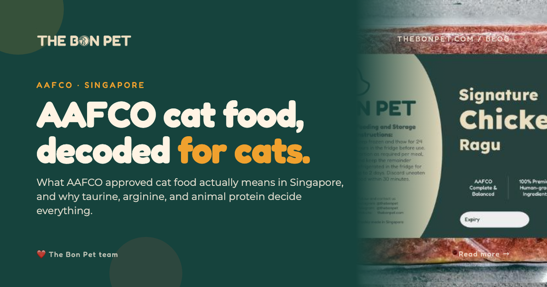 AAFCO Approved Cat Food in Singapore: Pawrent Guide