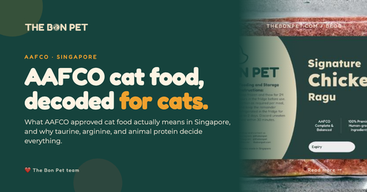 AAFCO Approved Cat Food in Singapore: Pawrent Guide