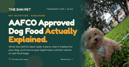 AAFCO Approved Dog Food in Singapore: What It Means