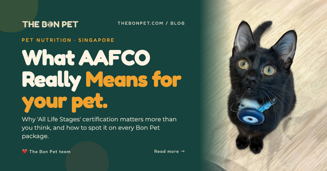 What AAFCO Really Means: The Complete Guide to Pet Food Certification in Singapore