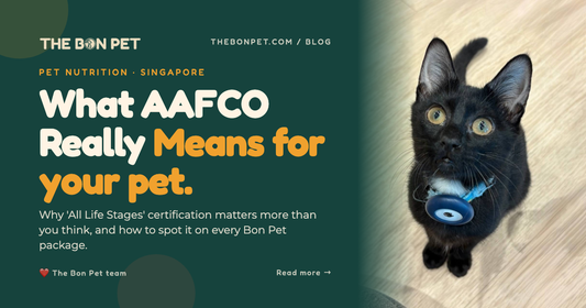 What AAFCO Really Means: The Complete Guide to Pet Food Certification in Singapore