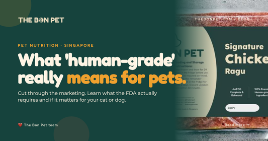 Are Human Grade Ingredients Better For Pets