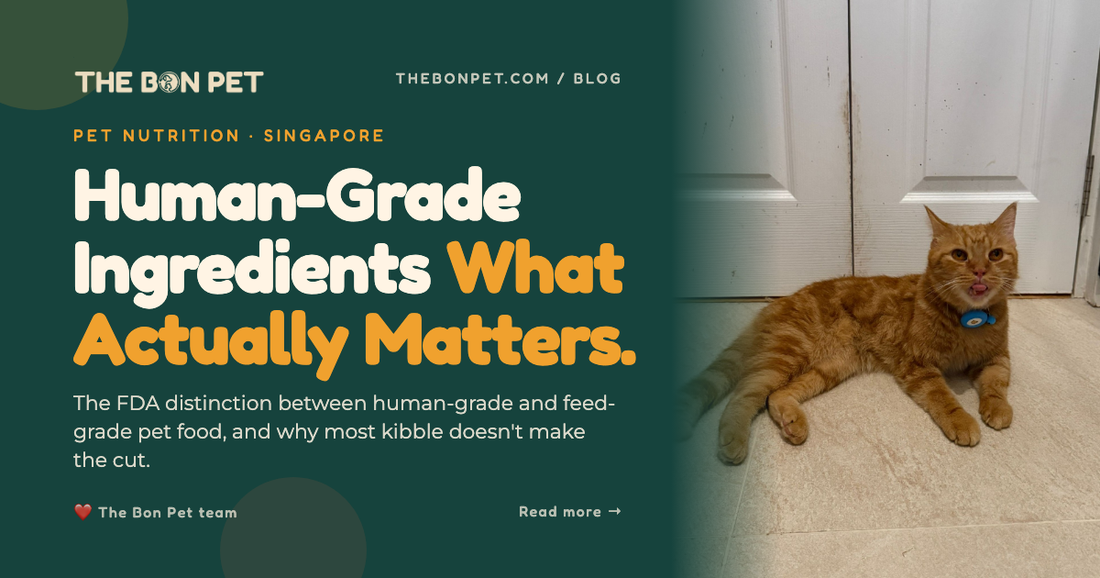 Are Human-Grade Ingredients Better for Pets? What the FDA Actually Requires