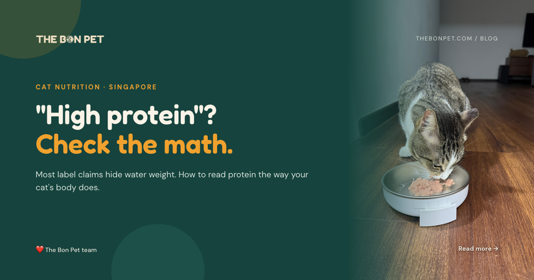 High-Protein Cat Food in Singapore: How to Actually Tell If It’s High Protein