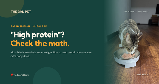 High-Protein Cat Food in Singapore: How to Actually Tell If It’s High Protein