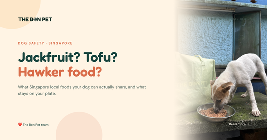 Can Dogs Eat Jackfruit, Tofu and Other Singapore Local Foods?