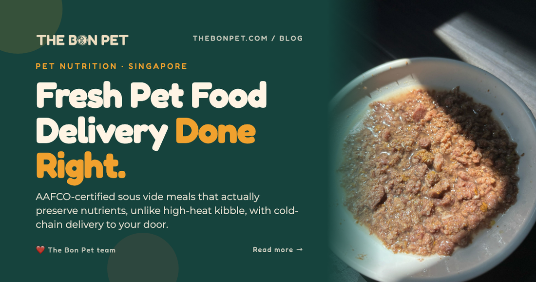 Best Fresh Pet Food Delivery Singapore: How to Choose