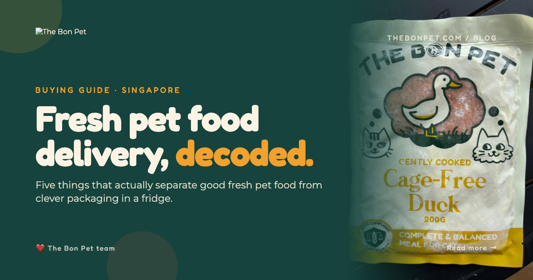 Best Fresh Pet Food Delivery Singapore: How to Choose