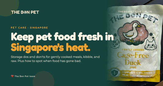 Best Practices For Storing Pet Food Freshness At Home