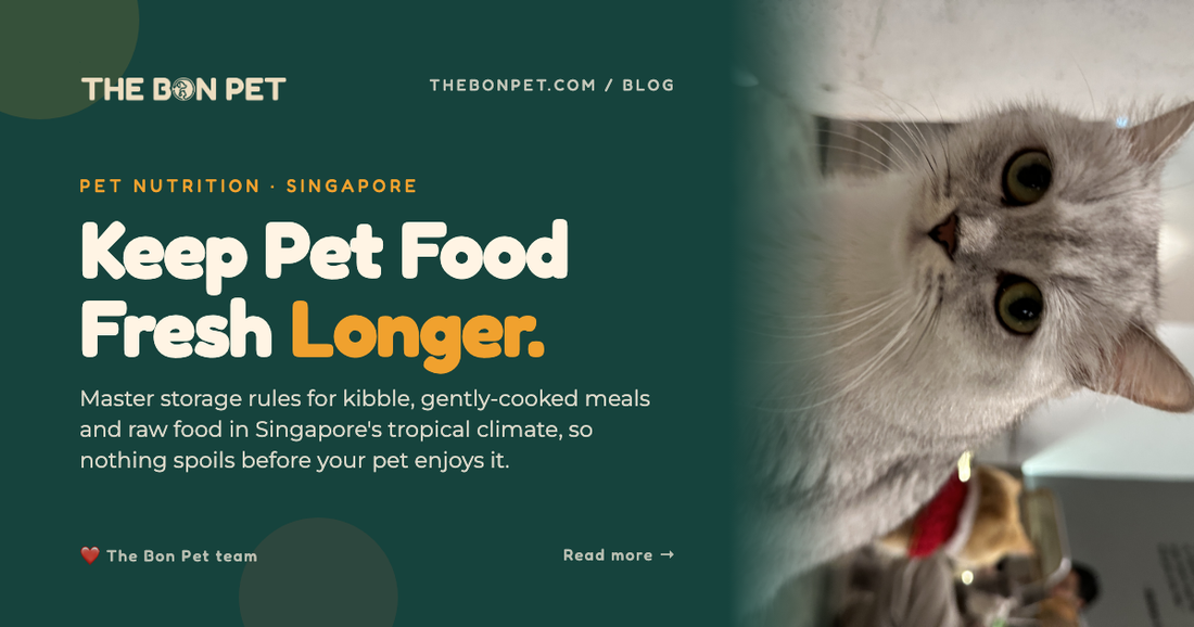 Best Practices for Storing Pet Food and Keeping It Fresh at Home