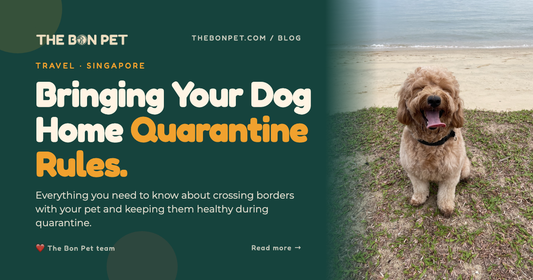 Bringing a Dog to Malaysia and Back to Singapore: Quarantine?