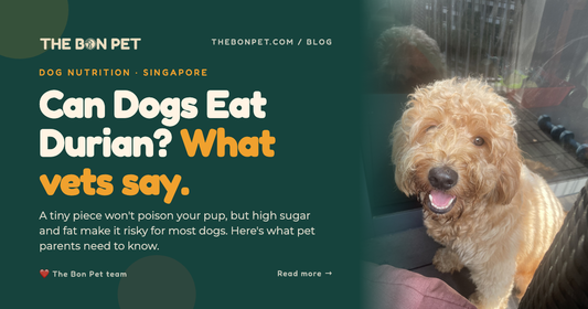 Can Dogs Eat Durian? Plus Local Singapore Foods, Answered