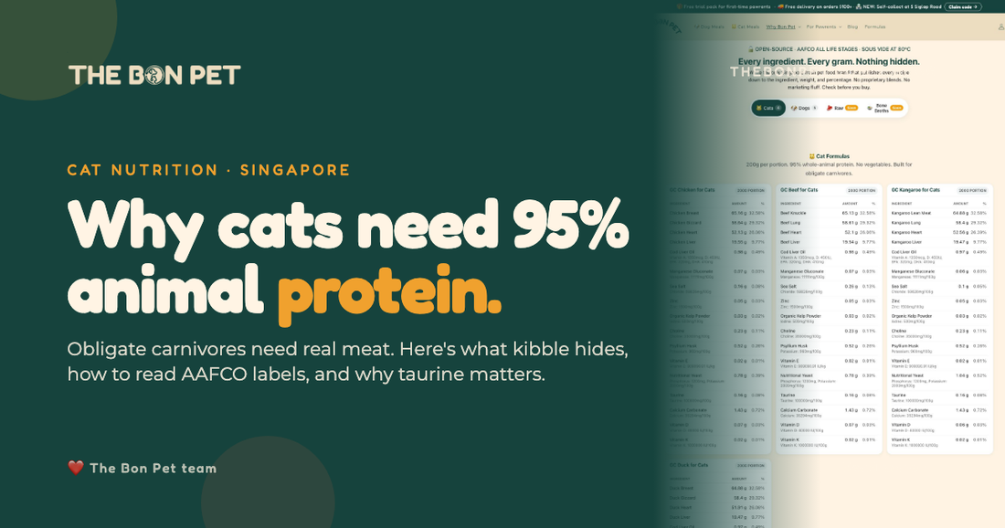 Cat Nutrition 95 Percent Animal Protein