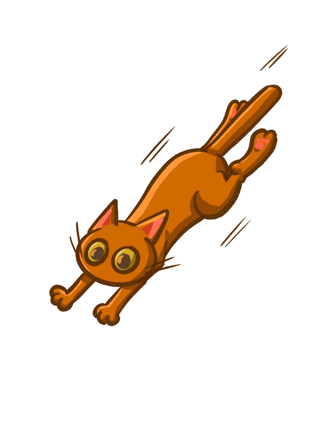 Cat travelling - SG pet travel guide