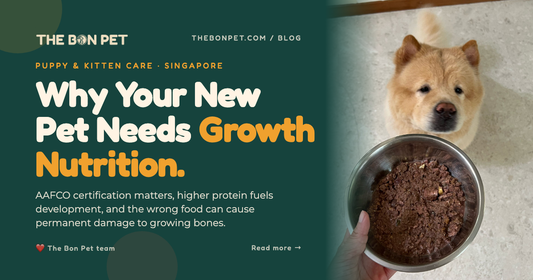 Choosing the Right Food for Your New Puppy or Kitten: AAFCO, Protein & Life Stages