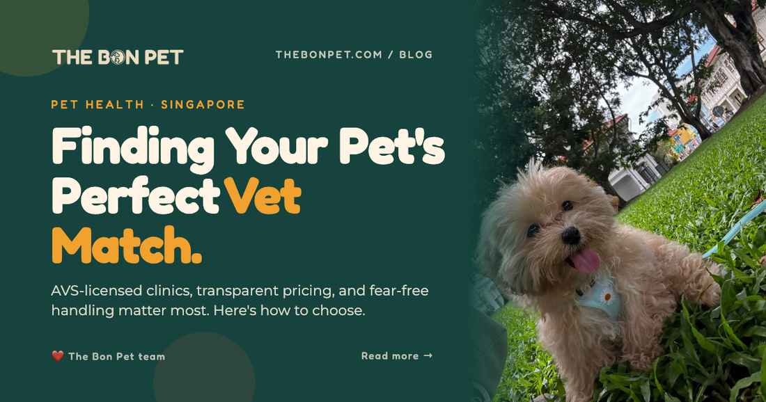 Choosing the Right Vet in Singapore: A Pawrent's Guide