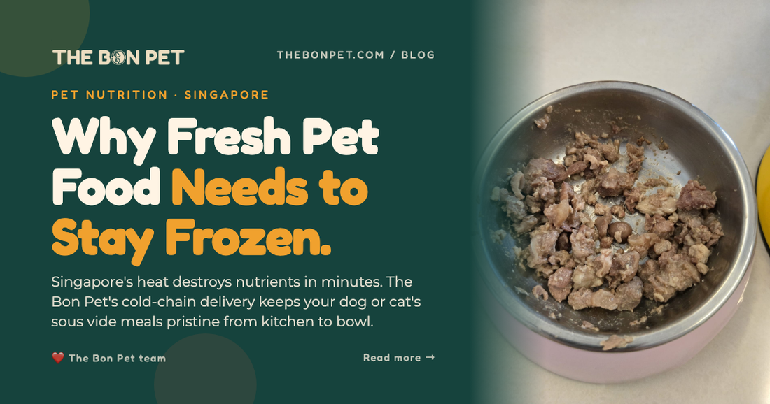 Cold-Chain Pet Food Delivery in Singapore: Why It Matters