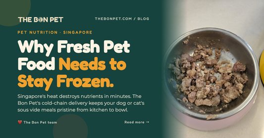 Cold-Chain Pet Food Delivery in Singapore: Why It Matters