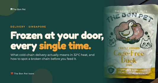 Cold-Chain Pet Food Delivery in Singapore: Why It Matters