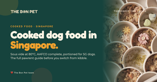 Cooked Dog Food Singapore: Pet Parent's Full Guide