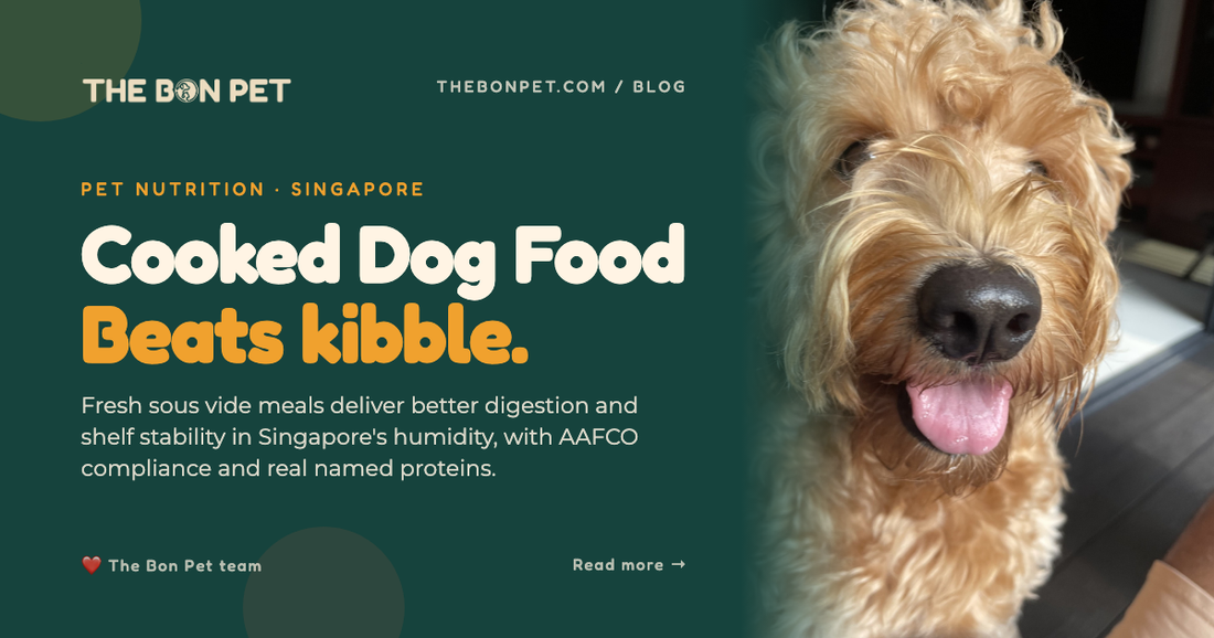 Cooked Dog Food Singapore: A Pet Parent's Guide 2026