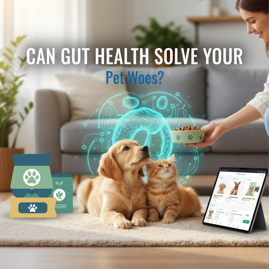 Can Gut Health Solve Your Pet's Itchy Skin?