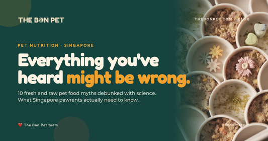 Debunking Common Myths About Fresh And Raw Pet Food In Singapore