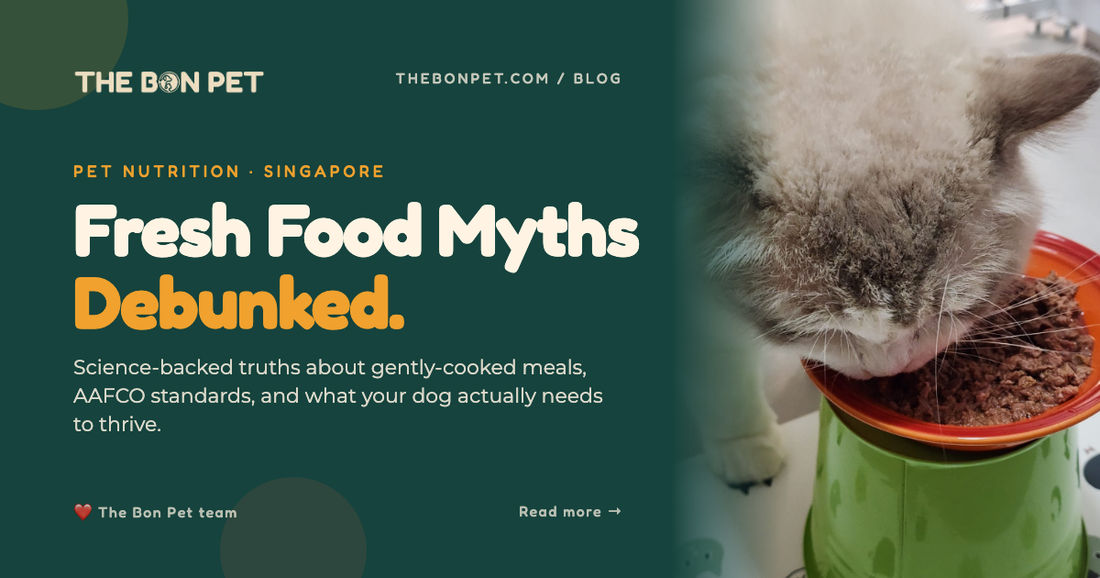 Debunking Common Myths About Fresh and Raw Pet Food in Singapore