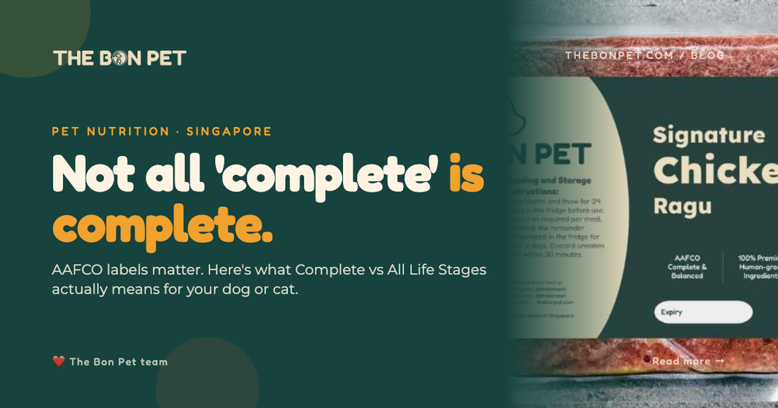 Decoding Aafco Labels Beyond The Complete Balanced