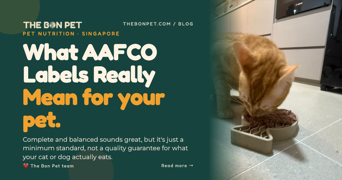 Decoding AAFCO Labels: Beyond "Complete and Balanced" 🐾