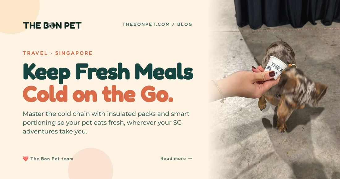 Feeding Fresh Pet Food While Travelling in Singapore