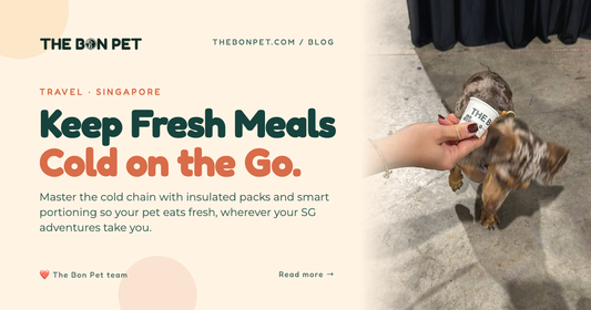 Feeding Fresh Pet Food While Travelling in Singapore