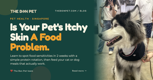 How to Spot Food Sensitivities in Your Cat or Dog (and Find a Protein That Works)