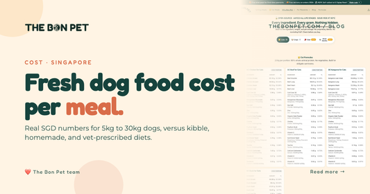 Fresh Dog Food Cost in Singapore: Price Per Meal Breakdown