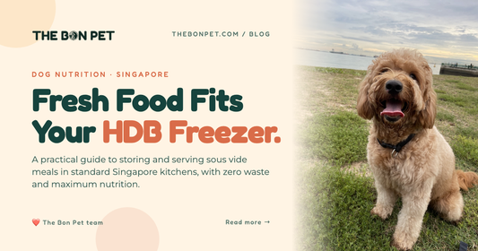 Fresh Dog Food in an HDB Flat: SG Feeding Guide