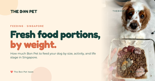 Fresh Dog Food Portions by Weight (Singapore Guide)