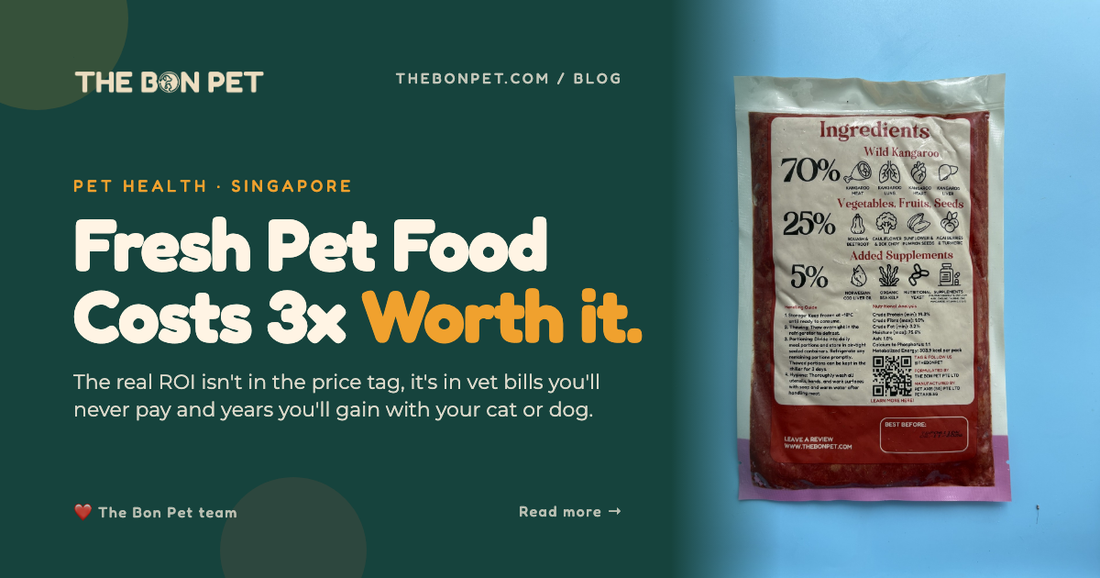 The Real Cost of Fresh Pet Food in Singapore: ROI Math for SG Pawrents