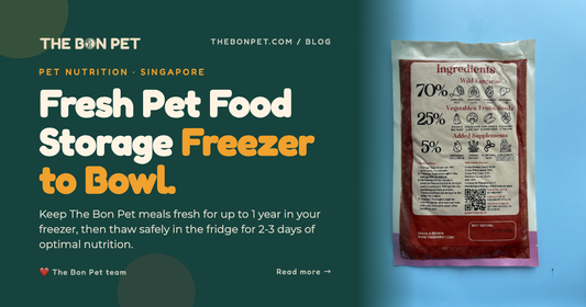 How Long Does Fresh Pet Food Last in Singapore Freezers?