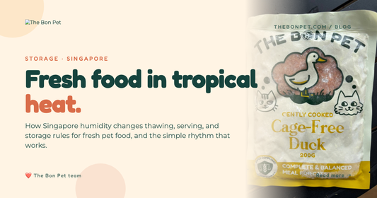 Fresh Pet Food in Singapore Humidity: Safe Handling Guide