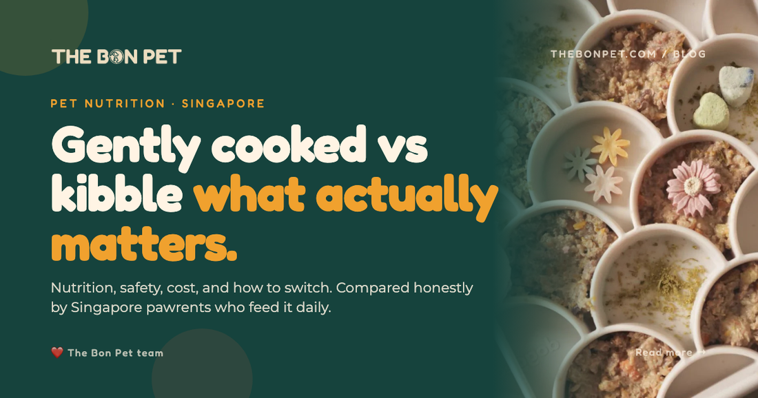Gently Cooked Vs Traditional Dog Food