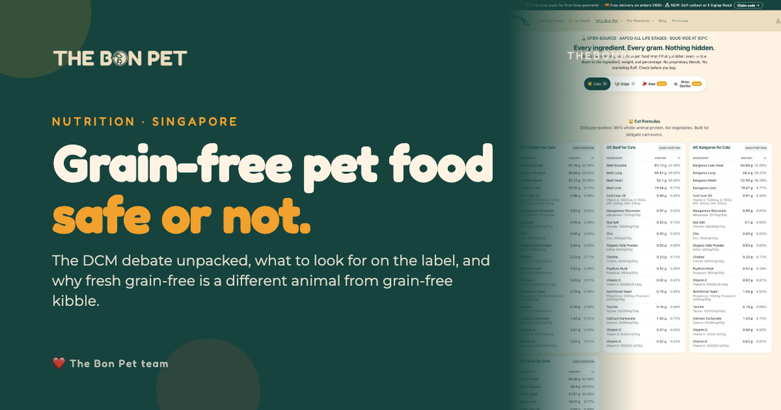 Grain-Free Dog & Cat Food in Singapore: Safe or Not?