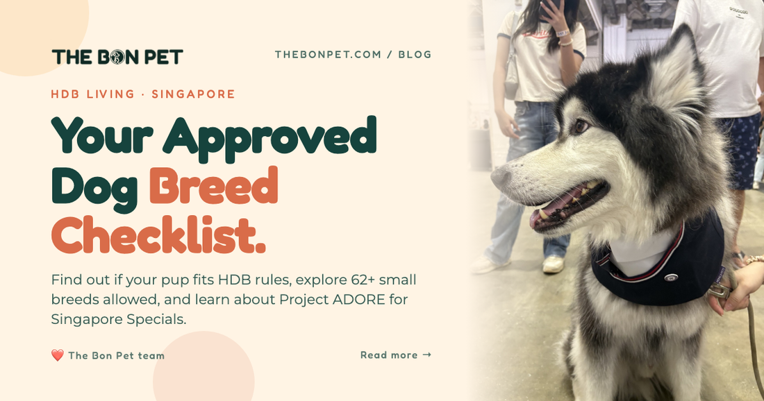 HDB-Approved Dog Breeds: The Complete Guide for Singapore (2026)