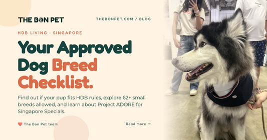 HDB-Approved Dog Breeds: The Complete Guide for Singapore (2026)