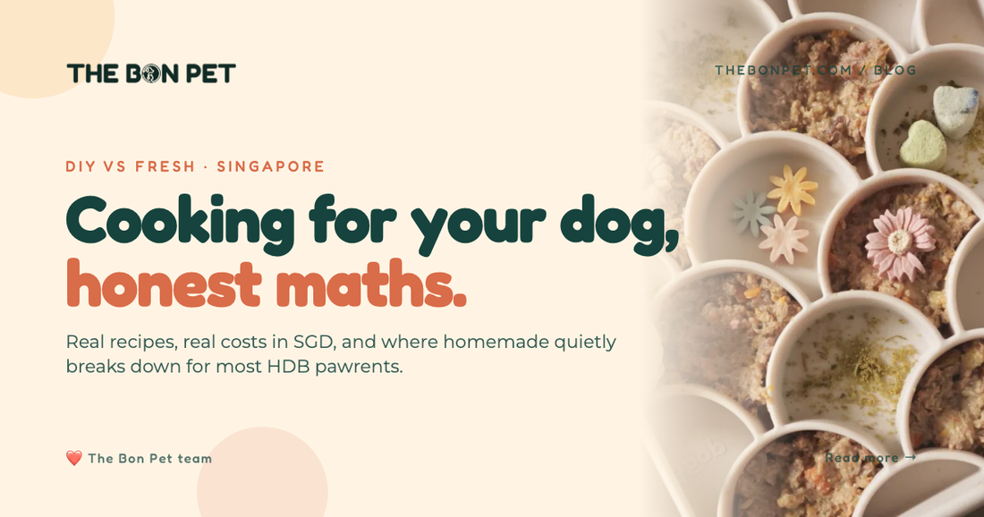 Homemade Dog Food Singapore: Recipes, Risks, Real Cost