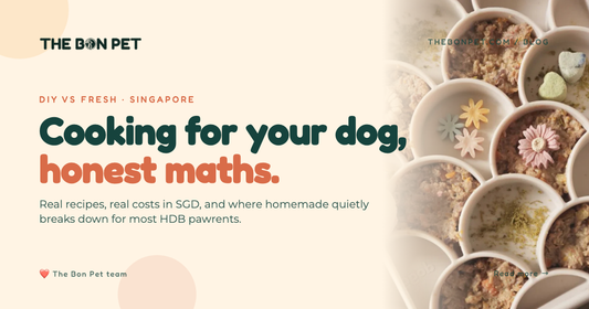 Homemade Dog Food Singapore: Recipes, Risks, Real Cost